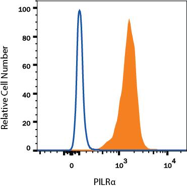 Human peripheral blood granulocytes were stained with Rabbit Anti-Human PILR- alpha Alexa Fluor® 488-conjugated Monoclonal Antibody (Catalog # FAB64841G, filled histogram) or isotype control antibody (Catalog # IC1051G, open histogram). View our protocol for Staining Membrane-associated Proteins.