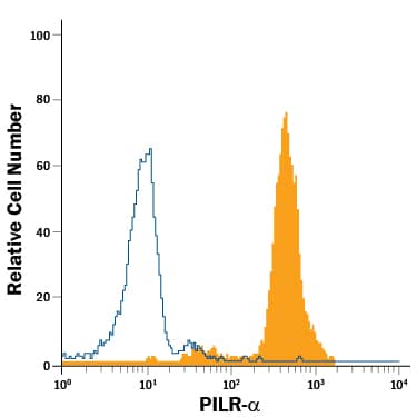Human peripheral blood granulocytes were stained with Sheep Anti-Human PILR-a PE-conjugated Antigen Affinity-purified Polyclonal Antibody (Catalog # FAB6484P, filled histogram) or isotype control antibody (Catalog # IC016P, open histogram). View our protocol for Staining Membrane-associated Proteins.