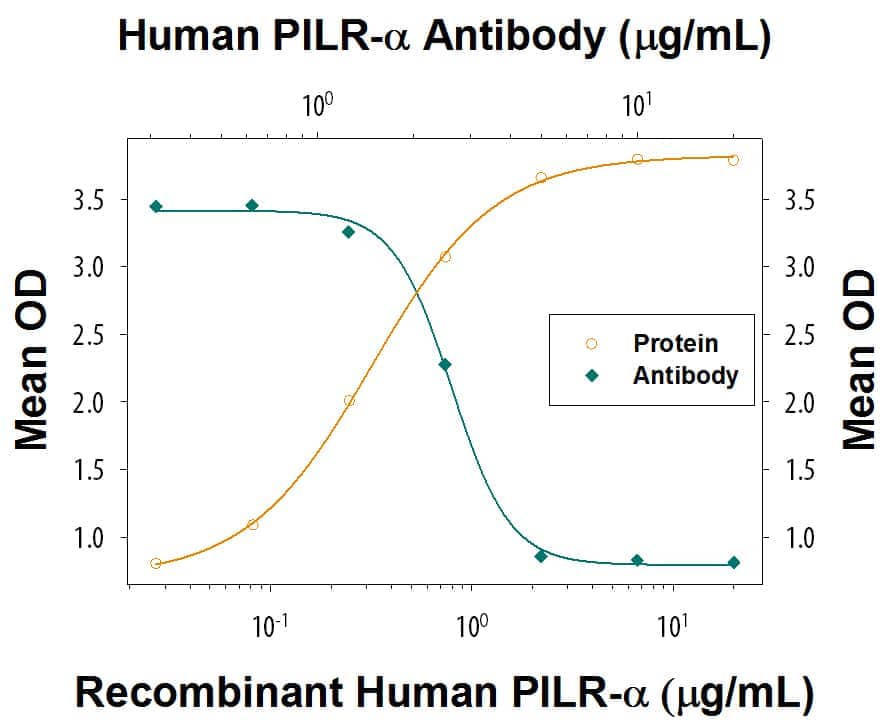 In a functional ELISA, Recombinant Human PILR‑ alpha  (Catalog # 6484-PR) binds to immobilized recombinant human PANP Fc Chimera coated at 5 μg/mL (100 µL/well) in a dose-dependent manner (orange line). Binding is blocked (green line) by increasing concentrations of  Rabbit Anti-Human PILR-alpha  Monoclonal Antibody (Catalog # MAB64842). At 1-5 μg/mL, this antibody will block 50% of the binding. 