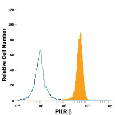 Human peripheral blood granulocytes were stained with Sheep Anti-Human PILR-beta  PE-conjugated Antigen Affinity-purified Polyclonal Antibody (Catalog # FAB4189P, filled histogram) or isotype control antibody (Catalog # IC016P, open histogram). View our protocol for Staining Membrane-associated Proteins.