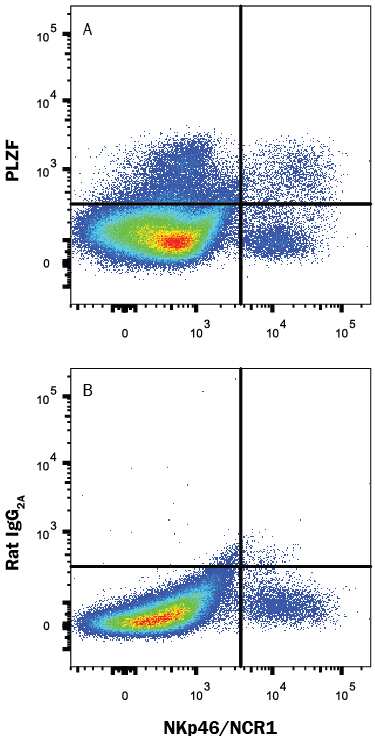 Mouse splenocytes stimulated with Recombinant Mouse IL-12 (Catalog # 419-ML) and Recombinant Mouse IL-18 (Catalog # 9139-IL) for 3 days were stained with Rat Anti-Mouse NKp46/NCR1 PE-conjugated Monoclonal Antibody (Catalog # FAB22252P) and either (A) Rat Anti-Mouse PLZF Alexa Fluor® 647-conjugated Monoclonal Antibody (Catalog # IC83951R) or (B) Rat IgG2AAlexa Fluor 647 Isotype Control (Catalog # IC006R). To facilitate intracellular staining, cells were fixed with Flow Cytometry Fixation Buffer (Catalog # FC004) and permeabilized with Flow Cytometry Permeabilization/Wash Buffer I (Catalog # FC005). View our protocol for Staining Intracellular Molecules.
