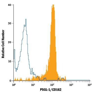 Human peripheral blood monocytes were stained with Mouse Anti-Human PSGL-1/CD162 Alexa Fluor® 488-conjugated Monoclonal Antibody (Catalog # FAB9961G, filled histogram) or isotype control antibody (Catalog # IC003G, open histogram). View our protocol for Staining Membrane-associated Proteins.