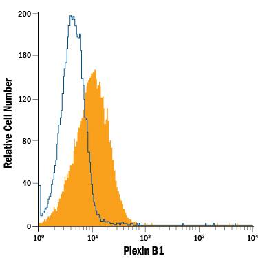 Jurkat human acute T cell leukemia cell line was stained with Mouse Anti-Human Plexin B1 PE-conjugated Monoclonal Antibody (Catalog # FAB37491P, filled histogram) or isotype control antibody (Catalog # IC002P, open histogram). View our protocol for Staining Membrane-associated Proteins.