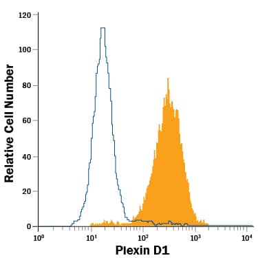 K562 human chronic myelogenous leukemia cell line was stained with Goat Anti-Human Plexin D1 Alexa Fluor® 488-conjugated Antigen Affinity-purified Polyclonal Antibody (Catalog # FAB4160G, filled histogram) or isotype control antibody (Catalog # IC108G, open histogram). View our protocol for Staining Membrane-associated Proteins.