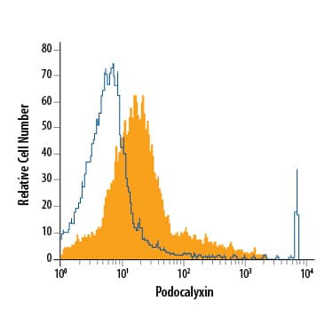 Undifferentiated D3 mouse embryonic stem cell line was stained with Rat Anti-Mouse Podocalyxin APC‑conjugated Monoclonal Antibody (Catalog # FAB1556A, filled histogram) or isotype control antibody (Catalog # IC0041A, open histogram). View our protocol for Staining Membrane-associated Proteins. 