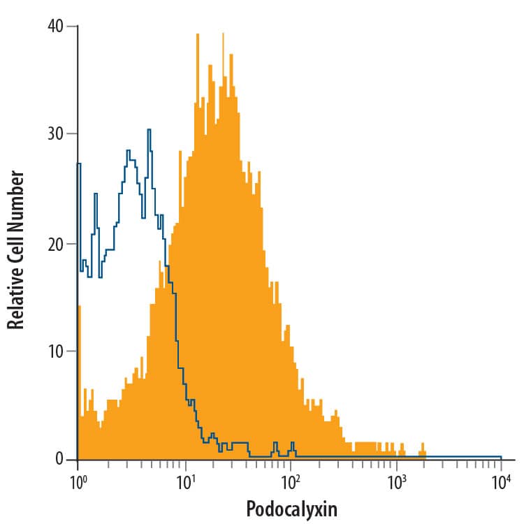 D3 mouse embryonic stem cell line was stained with Rat Anti-Mouse Podocalyxin Alexa Fluor® 700-conjugated Monoclonal Antibody (Catalog # FAB1556N, filled histogram) or isotype control antibody (Catalog # IC013N, open histogram). View our protocol for Staining Membrane-associated Proteins.