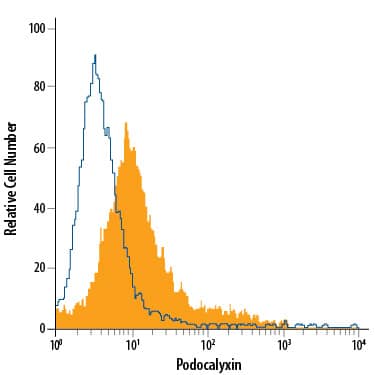 Undifferentiated D3 mouse embryonic stem cell line was stained with Rat Anti-Mouse Podocalyxin PE-conjugated Monoclonal Antibody (Catalog # FAB1556P, filled histogram) or isotype control antibody (Catalog # IC013P, open histogram). View our protocol for Staining Membrane-associated Proteins.