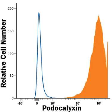 BG01V human embryonic stem cells were stained with Mouse Anti-Human Podocalyxin APC-conjugated Monoclonal Antibody (Catalog # FAB1658A, filled histogram) or isotype control antibody (Catalog # IC003A, open histogram). View our protocol for Staining Membrane-associated Proteins.