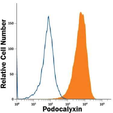 BG01V human embryonic stem cells were stained with Mouse Anti-Human Podocalyxin Alexa Fluor® 700-conjugated Monoclonal Antibody (Catalog # FAB1658N, filled histogram) or isotype control antibody (Catalog # IC003N, open histogram). View our protocol for Staining Membrane-associated Proteins.