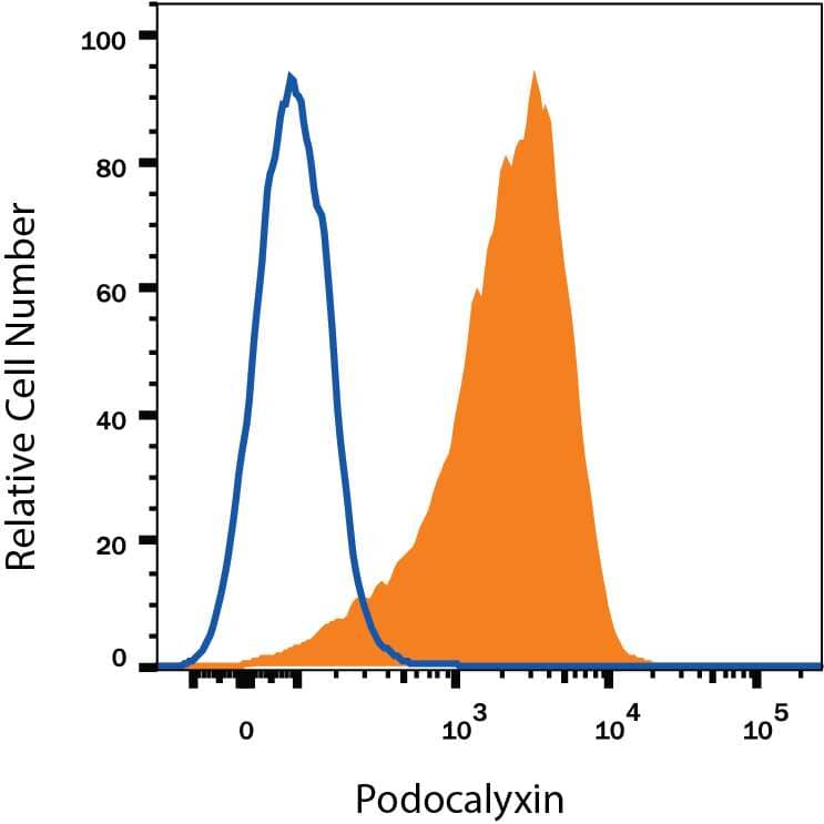 BG01V human embryonic stem cells were stained with Mouse Anti-Human Podocalyxin Alexa Fluor® 594-conjugated Monoclonal Antibody (Catalog # FAB1658T, filled histogram) or isotype control antibody (Catalog # IC003T, open histogram). View our protocol for Staining Membrane-associated Proteins.