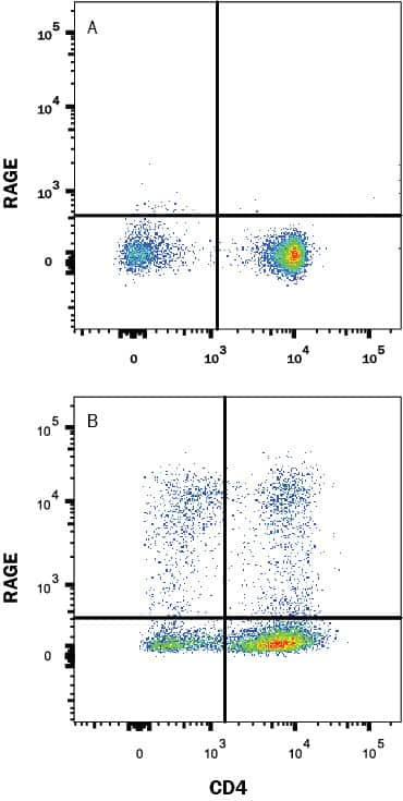 Mouse splenocytes either (A) unstimulated or (B) stimulated to induce Th1 cells were stained with Rat Anti-Mouse RAGE Alexa Fluor® 488-conjugated Monoclonal Antibody (Catalog # FAB11795G) and Rat Anti-Mouse CD4 APC-conjugated Monoclonal Antibody (Catalog # FAB554A). Quadrant markers were set based on control antibody staining (Catalog # IC006G). View our protocol for Staining Membrane-associated Proteins.