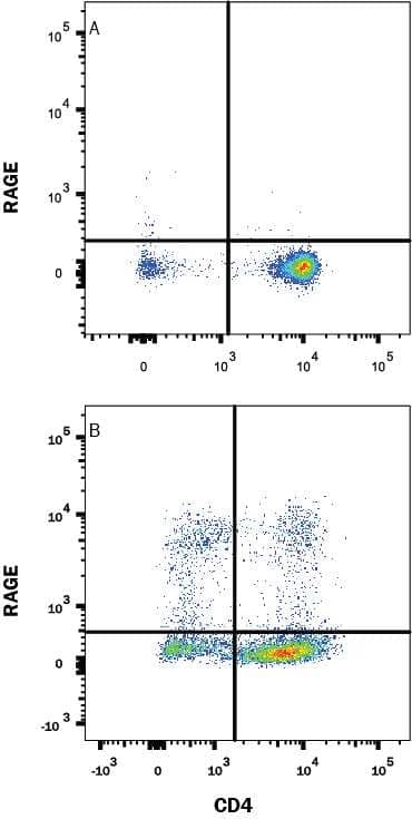 Mouse splenocytes either (A) unstimulated or (B) stimulated to induce Th1 cells were stained with Rat Anti-Mouse RAGE Alexa Fluor® 405-conjugated Monoclonal Antibody (Catalog # FAB11795V) and Rat Anti-Mouse CD4 APC-conjugated Monoclonal Antibody (Catalog # FAB554A). Quadrant markers were set based on control antibody staining (Catalog # IC006V). View our protocol for Staining Membrane-associated Proteins.