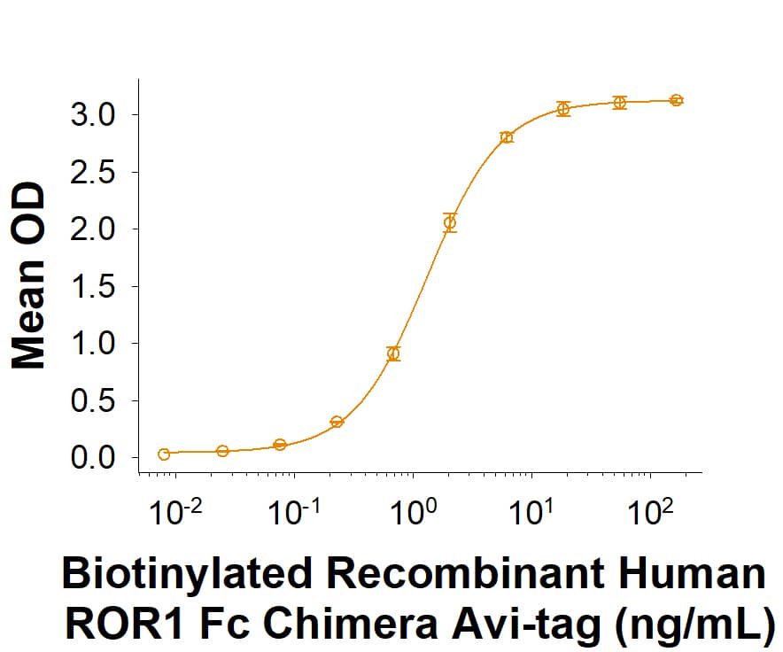 When Human ROR1 Antibody     (Catalog #  MAB20001) is immobilized at 0.5 μg/mL (100 μL/well), Biotinylated Recombinant Human ROR1 Fc Chimera Avi-tag (Catalog # AVI9490) binds with an ED50 of 0.6‑3.6 ng/mL.