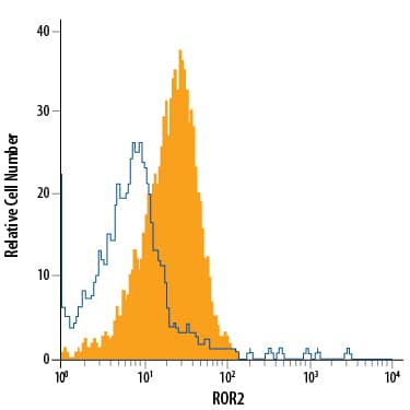 SH-SY5Y human neuroblastoma cell line was stained with Mouse Anti-Human ROR2 APC-conjugated Monoclonal Antibody (Catalog # FAB20641A, filled histogram) or isotype control antibody (Catalog # IC003A, open histogram). View our protocol for Staining Membrane-associated Proteins.