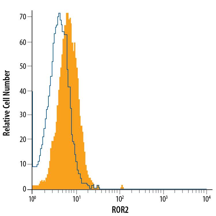 SH-SY5Y human neuroblastoma cell line was stained with Mouse Anti-Human ROR2 Alexa Fluor® 488-conjugated Monoclonal Antibody (Catalog # FAB20641G, filled histogram) or isotype control antibody (Catalog # IC003G, open histogram). View our protocol for Staining Membrane-associated Proteins.