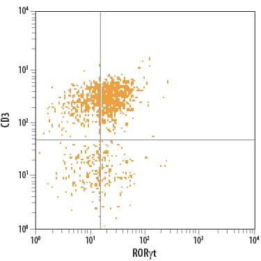 Human peripheral blood mononuclear cells (PBMCs) treated with PMA, Calcium Ionomycin, LPS, and Recombinant Human IL-23 (Catalog # 1290-IL) were stained with Mouse Anti-Human/Mouse ROR gammat/RORC2/ NR1F3 PE-conjugated Monoclonal Antibody (Catalog # IC6006P) and Mouse Anti-Human CD3e APC-conjugated Monoclonal Antibody (Catalog # FAB100A). Quadrant markers were set based on control antibody staining (Catalog # IC0041P). To facilitate intra-cellular staining, cells were fixed with Flow Cytometry Fixation Buffer (Catalog # FC004) and permeabilized with Flow Cytometry Permeabilization/Wash Buffer I (Catalog # FC005). View our protocol for Staining Intracellular Molecules.