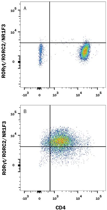 Human peripheral blood mononuclear cells (PBMCs) either (A) unstimulated or (B) stimulated to induce Th17 cells were stained with Rabbit Anti-Human/Mouse ROR gammat/RORC2/NR1F3 APC-conjugated Monoclonal Antibody (Catalog # IC9125A) and Mouse Anti-Human CD4 PE-conjugated Monoclonal Antibody (FAB3791P). Quadrant markers were set based on control antibody staining (IC1051A). To facilitate intracellular staining, cells were fixed and permeabilized with FlowX FoxP3 Fixation & Permeabilization Buffer Kit (FC012). View our protocol for Staining Intracellular Molecules.