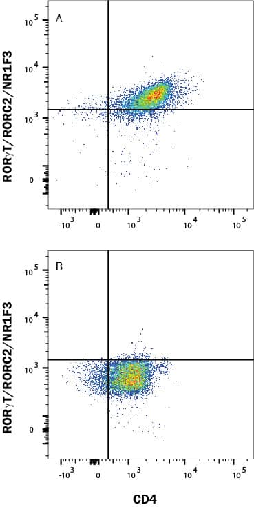 Mouse splenocytes either (A) stimulated to induce Th17 cells or (B) unstimulated were stained with Rabbit Anti-Human/Mouse ROR gamma t/RORC2/NR1F3 Alexa Fluor® 700-conjugated Monoclonal Antibody (Catalog # IC9125N) and Rat Anti-Mouse CD4 PE-conjugated Monoclonal Antibody (Catalog # FAB554P). Quadrant markers were set based on control antibody staining (Catalog # IC1051N). To facilitate intracellular staining, cells were fixed and permeabilized with FlowX FoxP3 Fixation & Permeabilization Buffer Kit (Catalog # FC012). View our protocol for Staining Intracellular Molecules.