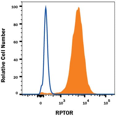 HeLa human cervical epithelial carcinoma cell line was stained with Mouse Anti-Human/Mouse RPTOR Monoclonal Antibody (Catalog # MAB5957, filled histogram) or isotype control antibody (Catalog # MAB0041, open histogram), followed by Phycoerythrin-conjugated Anti-Mouse IgG Secondary Antibody (Catalog # F0102B). To facilitate intracellular staining, cells were fixed with Flow Cytometry Fixation Buffer (Catalog # FC004) and permeabilized with Flow Cytometry Permeabilization/Wash Buffer I (Catalog # FC005). View our protocol for Staining Intracellular Molecules.