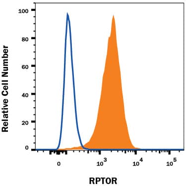 C2C12 mouse myoblast cell line was stained with Mouse Anti-Human/Mouse RPTOR Monoclonal Antibody (Catalog # MAB5957, filled histogram) or isotype control antibody (Catalog # MAB0041, open histogram), followed by Phycoerythrin-conjugated Anti-Mouse IgG Secondary Antibody (Catalog # F0102B). To facilitate intracellular staining, cells were fixed with Flow Cytometry Fixation Buffer (Catalog # FC004) and permeabilized with Flow Cytometry Permeabilization/Wash Buffer I (Catalog # FC005). View our protocol for Staining Intracellular Molecules.