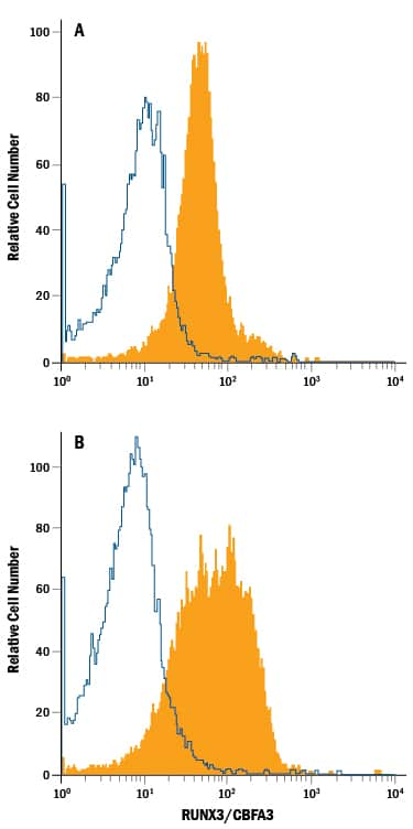 Human peripheral blood mononuclear cells (PBMC) lymphocytes either (A) untreated or (B) treated with PMA were stained with Mouse Anti-Human/Mouse RUNX3/CBFA3 APC-conjugated Monoclonal Antibody (Catalog # IC3765A, filled histogram) or isotype control antibody (Catalog # IC003A, open histogram). To facilitate intracellular staining, cells were fixed with Flow Cytometry Fixation Buffer (Catalog # FC004) and permeabilized with Flow Cytometry Permeabilization/Wash Buffer I (Catalog # FC005). View our protocol for Staining Intracellular Molecules.