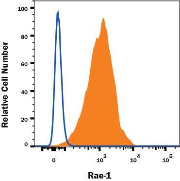 RAW 264.7 mouse monocyte/macrophage cell line was stained with Rat Anti-Mouse Rae-1 Alexa Fluor® 700-conjugated Monoclonal Antibody (Catalog # FAB17582N, filled histogram) or isotype control antibody (Catalog # IC006N, open histogram). View our protocol for Staining Membrane-associated Proteins.