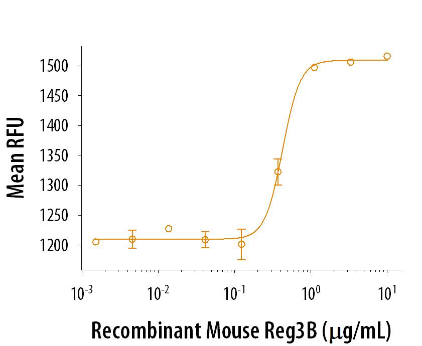 Recombinant Mouse Reg3B stimulates cell proliferation in RT4‑D6P2T rat schwannoma cells. The ED50 for this effect is 0.2-1 μg/mL.