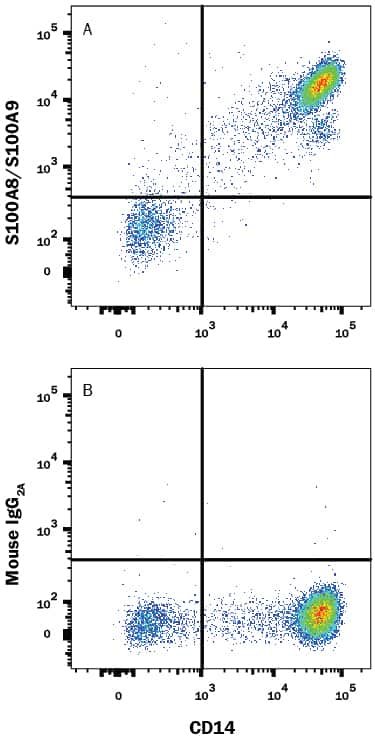 Human peripheral blood mononuclear cells (PBMCs) were stained with Mouse Anti-Human CD14 PE-conjugated Monoclonal Antibody (Catalog # FAB3832P) and either (A) Mouse Anti-Human S100A8/S100A9 Heterodimer Alexa Fluor® 647-conjugated Monoclonal Antibody (Catalog # IC9337R) or (B) Mouse IgG2AAlexa Fluor 647 Isotype Control (Catalog # IC003R). To facilitate intracellular staining, cells were fixed with Flow Cytometry Fixation Buffer (Catalog # FC004) and permeabilized with Flow Cytometry Permeabilization/Wash Buffer I (Catalog # FC005). View our protocol for Staining Intracellular Molecules.