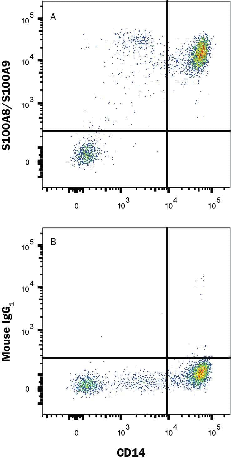 Human peripheral blood monocytes (PBMC) were stimulated with LPS (1 ug/mL) and Monensin overnight, then stained with either (A) Mouse Anti-Human S100A8/A9 Monoclonal Antibody (Catalog # MAB45702) or (B) Mouse IgG1Isotype Control (MAB002) followed by Goat anti-Mouse IgG APC-conjugated Secondary Antibody (F0101B) and Mouse Anti-Human CD14 PE-conjugated Monoclonal Antibody (FAB3832P). To facilitate intracellular staining, cells were fixed with Flow Cytometry Fixation Buffer (Catalog # FC004) and permeabilized with Flow Cytometry Permeabilization/Wash Buffer (FC005). View our protocol for Staining Intracellular Molecules.