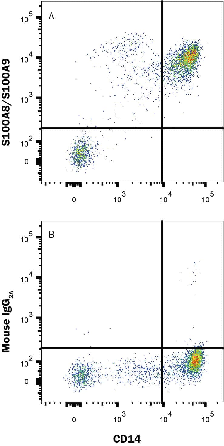 Human peripheral blood monocytes (PBMC) were stimulated with LPS (1 μg/mL) and monensin overnight, then stained with either (A) Mouse Anti-Human S100A8/A9 Monoclonal Antibody (Catalog # MAB45703) or (B) Mouse IgG2A Isotype Control (MAB003) followed by Goat anti-Mouse IgG APC-conjugated Secondary Antibody (F0101B) and Mouse Anti-Human CD14 PE-conjugated Monoclonal Antibody (FAB3832P). To facilitate intracellular staining, cells were fixed with Flow Cytometry Fixation Buffer (FC004) and permeabilized with Flow Cytometry Permeabilization/Wash Buffer I (FC005). View our protocol for Staining Intracellular Molecules.