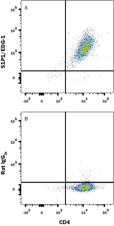HEK293 human embryonic kidney cell line transfected with mouse S1P1/EDG-1 and eGFP was stained with either (A) Rat Anti-Mouse S1P1/EDG-1 APC-conjugated Monoclonal Antibody (Catalog # FAB7089A) or (B) Rat IgG2AAllophycocyanin Isotype Control (Catalog # IC006A). View our protocol for Staining Membrane-associated Proteins.