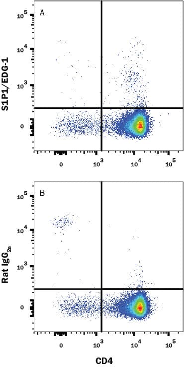 Mouse thymocytes were stained with Rat Anti-Mouse CD4 PE-conjugated Monoclonal Antibody (Catalog # FAB554P) and either (A) Rat Anti-Mouse S1P1/EDG-1 APC-conjugated Monoclonal Antibody (Catalog # FAB7089A) or (B) Rat IgG2AAllophycocyanin Isotype Control (Catalog # IC006A). View our protocol for Staining Membrane-associated Proteins.