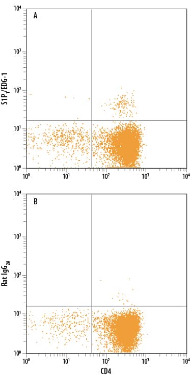 Mouse thymocytes were stained with Rat Anti-Mouse CD4 APC-conjugated Monoclonal Antibody (Catalog # FAB554A) and either (A) Rat Anti-Mouse S1P1/EDG-1 PE-conjugated Monoclonal Antibody (Catalog # FAB7089P) or (B) Rat IgG2APhycoerythrin Isotype Control (Catalog # IC006P). View our protocol for Staining Membrane-associated Proteins.