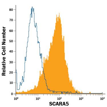 HepG2 human hepatocellular carcinoma cell line was stained with Mouse Anti-Human SCARA5 Alexa Fluor® 488-conjugated Monoclonal Antibody (Catalog # FAB4900G, filled histogram) or isotype control antibody (Catalog # IC0041G, open histogram). View our protocol for Staining Membrane-associated Proteins.