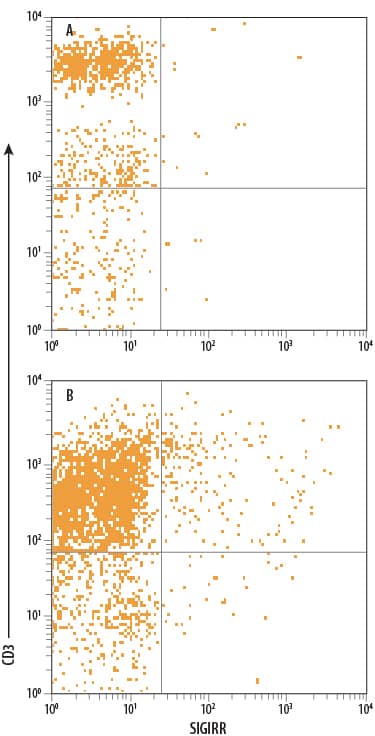 Human peripheral blood mononuclear cells (PBMCs) either (A) untreated or (B) treated with PMA, Calcium Ionomycin, LPS, and Recombinant Human IL-23 (Catalog # 1290-IL) were stained with Mouse Anti-Human SIGIRR APC-conjugated Monoclonal Antibody (Catalog # FAB990A) and Mouse Anti-Human CD3e PE-conjugated Monoclonal Antibody (Catalog # FAB100P). Quadrant markers were set based on control antibody staining (Catalog # IC003A). View our protocol for Staining Membrane-associated Proteins.