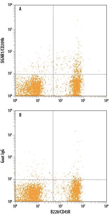 Mouse splenocytes were stained with Rat Anti-Mouse B220/CD45R APC-conjugated Monoclonal Antibody (Catalog # FAB1217A) and either (A) Goat Anti-Mouse SIGNR1/CD209b PE-conjugated Antigen Affinity-purified Polyclonal Antibody (Catalog # FAB1836P) or (B) Normal Goat IgG Phycoerythrin Control (Catalog # IC108P). View our protocol for Staining Membrane-associated Proteins.