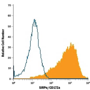 PC-12 rat adrenal pheochromocytoma cell line was stained with Mouse Anti-Mouse/Rat SIRPa/CD172a APC-conjugated Monoclonal Antibody (Catalog # FAB7307A, filled histogram) or isotype control antibody (Catalog # IC0041A, open histogram). View our protocol for Staining Membrane-associated Proteins.