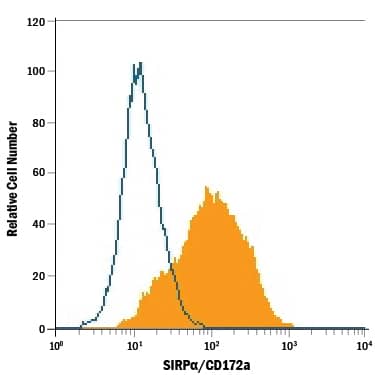 PC-12 rat adrenal pheochromocytoma cell line was stained with Mouse Anti-Mouse/Rat SIRPa/CD172a Alexa Fluor® 488-conjugated Monoclonal Antibody (Catalog # FAB7307G, filled histogram) or isotype control antibody (Catalog # IC0041G, open histogram). View our protocol for Staining Membrane-associated Proteins.