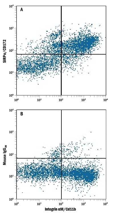 Mouse splenocytes were stained with Rat Anti-Mouse Integrin aM/CD11b APC-conjugated Monoclonal Antibody (Catalog # FAB1124A) and either (A) Mouse Anti-Mouse/Rat SIRPa/CD172a Alexa Fluor® 488-conjugated Monoclonal Antibody (Catalog # FAB7307G) or (B) Mouse IgG2BAlexa Fluor 488 Isotype Control (Catalog # IC0041G). View our protocol for Staining Membrane-associated Proteins.