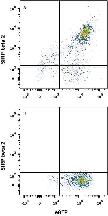 Flow Cytometry SIRPB2 Antibody (1008709) [Unconjugated]