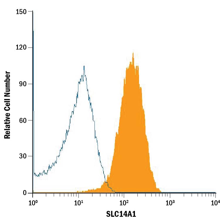 Human red blood cells were stained with Mouse Anti-Human SLC14A1 Monoclonal Antibody (Catalog # MAB8238, filled histogram) or isotype control antibody (Catalog # MAB0041, open histogram), followed by Allophycocyanin-conjugated Anti-Mouse IgG Secondary Antibody (Catalog # F0101B).