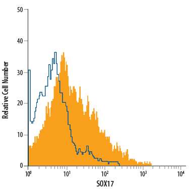 BG01V human embryonic stem cells, endoderm differentiated with StemXVivo Endoderm Kit (Catalog # SC019), were stained with Mouse Anti-Human SOX17 PE-conjugated Monoclonal Antibody (Catalog # IC19241P, filled histogram) or isotype control antibody (Catalog # IC002P, open histogram). To facilitate intracellular staining, cells were fixed with Flow Cytometry Fixation Buffer (Catalog # FC004) and permeabilized with Flow Cytometry Permeabilization/Wash Buffer I (Catalog # FC005). View our protocol for Staining Intracellular Molecules.