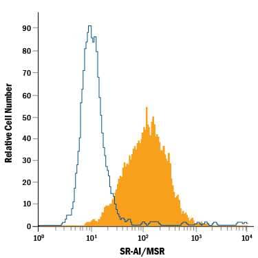 RAW 264.7 mouse monocyte/macrophage cell line was stained with Rat Anti-Mouse SR-AI/MSR Fluorescein-conjugated Monoclonal Antibody (Catalog # FAB1797F, filled histogram) or isotype control antibody (Catalog # IC013F, open histogram). View our protocol for Staining Membrane-associated Proteins.