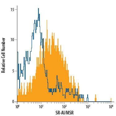 THP-1 human acute monocytic leukemia cell line activated with PMA and Ca2+ionomycin was stained with Mouse Anti-Human SR-AI/MSR Alexa Fluor® 700-conjugated Monoclonal Antibody (Catalog # FAB2708N, filled histogram) or isotype control antibody (Catalog # IC0041N, open histogram). View our protocol for Staining Membrane-associated Proteins.