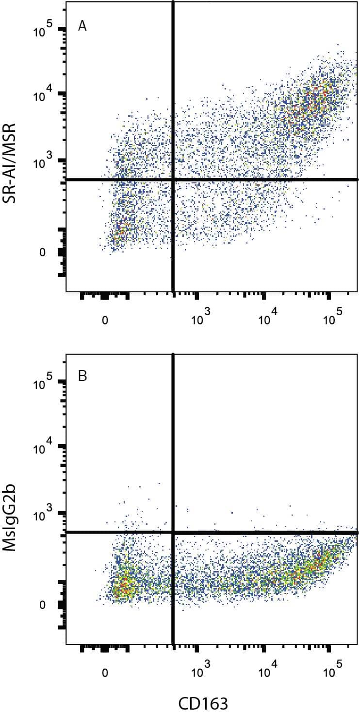 Human M2 macrophages were stained with Mouse Anti-Human CD163 PE-conjugated Monoclonal Antibody (Catalog # FAB1607P) and either (A) Mouse Anti-Human SR-AI/MSR Alexa Fluor® 647-conjugated Monoclonal Antibody (Catalog # FAB2708R) or (B) Mouse IgG2B Alexa Fluor® 647-conjugated Isotype Control (Catalog # IC0041R). View our protocol for Staining Membrane-associated Proteins.