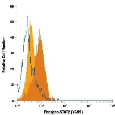 Daudi human Burkitt's lymphoma cell line untreated (light orange filled histogram) or treated with Recombinant Human IFN-aA (11100-1) (dark orange filled histogram) was stained with Rabbit Anti-Human Phospho-STAT2 (Y689) Fluorescein-conjugated Antigen Affinity-purified Polyclonal Antibody (Catalog # IC2890F) or isotype control antibody (IC105F, open histogram). To facilitate intracellular staining, cells were fixed with Flow Cytometry Fixation Buffer (FC004) and permeabilized with Flow Cytometry Permeabilization/Wash Buffer I (FC005). View our protocol for Staining Intracellular Molecules.