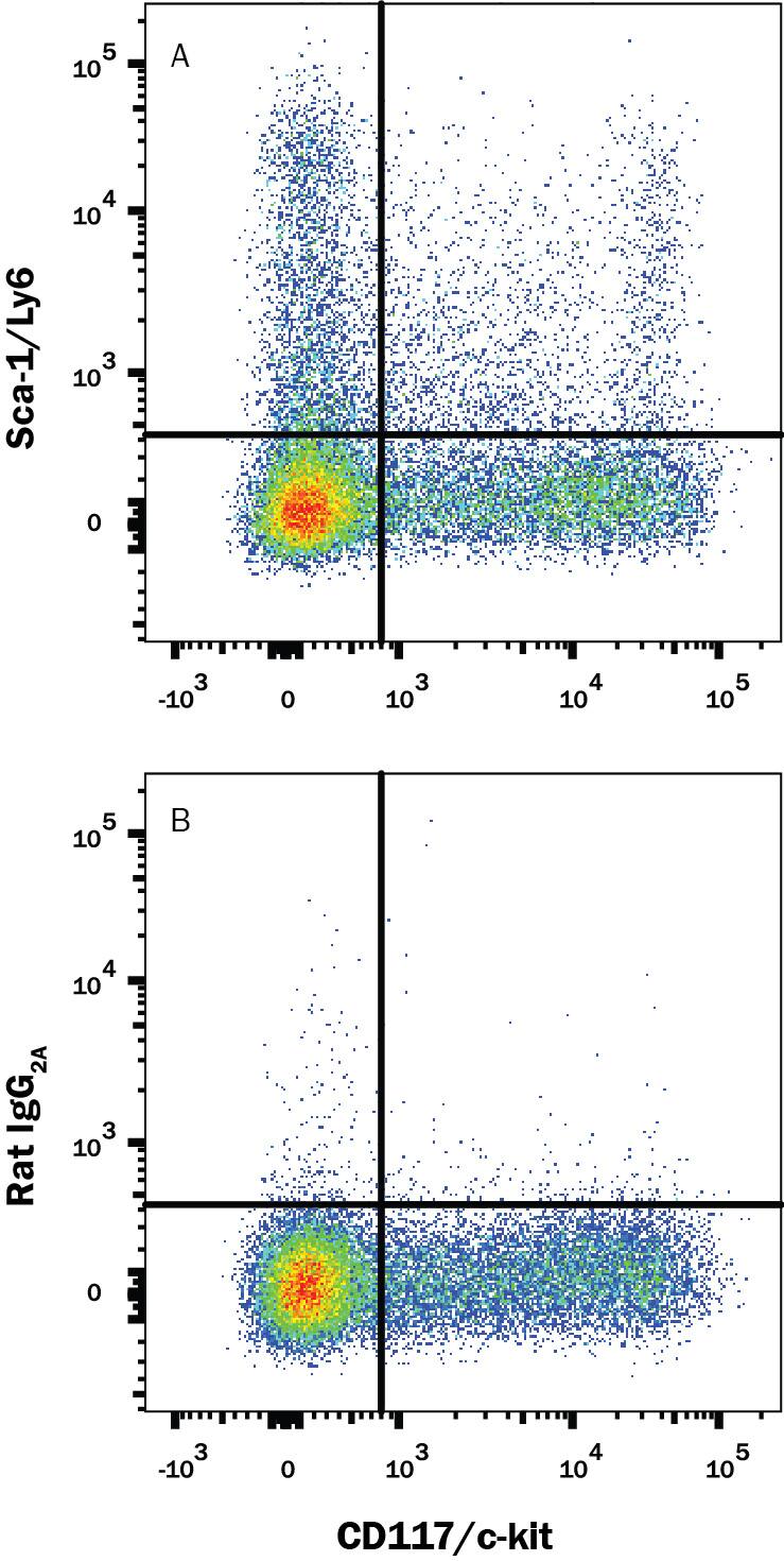 Mouse splenocytes gated on hematopoietic lineage negative cells were stained with Rat Anti-Mouse CD117/c-kit PE-conjugated Monoclonal Antibody (Catalog # FAB1356P) and either (A) Rat Anti-Mouse Sca-1/Ly6 APC-conjugated Monoclonal Antibody (Catalog # FAB1226A) or (B) Rat IgG2AAllophycocyanin Isotype Control (Catalog # IC006A). View our protocol for Staining Membrane-associated Proteins.
