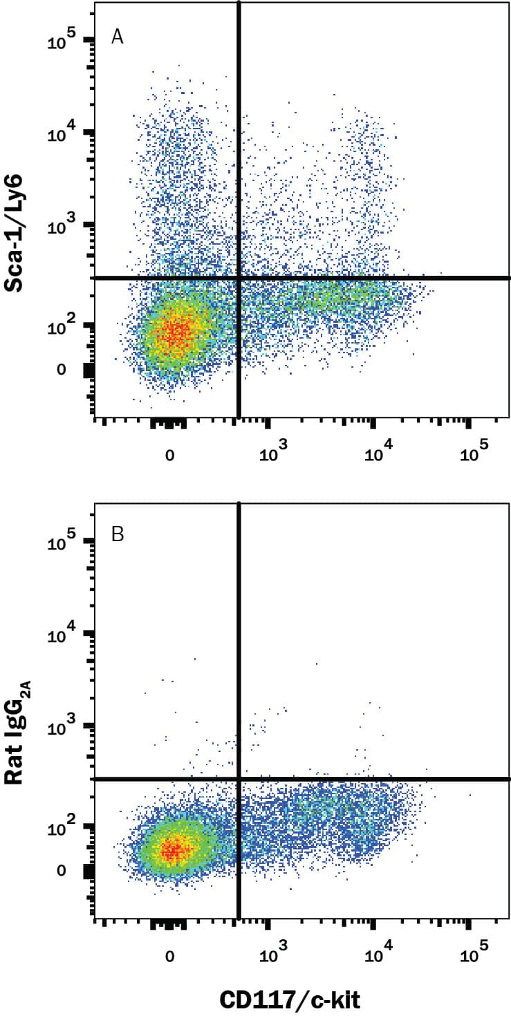 Mouse splenocytes gated on hematopoietic lineage negative cells were stained with Rat Anti-Mouse CD117/c-kit APC-conjugated Monoclonal Antibody (FAB1356A) and either (A) Rat Anti-Mouse Sca-1/Ly6 Alexa Fluor® 488-conjugated Monoclonal Antibody (Catalog # FAB1226G) or (B) Rat IgG2AAlexa Fluor 488 Isotype Control (IC006G). View our protocol for Staining Membrane-associated Proteins.
