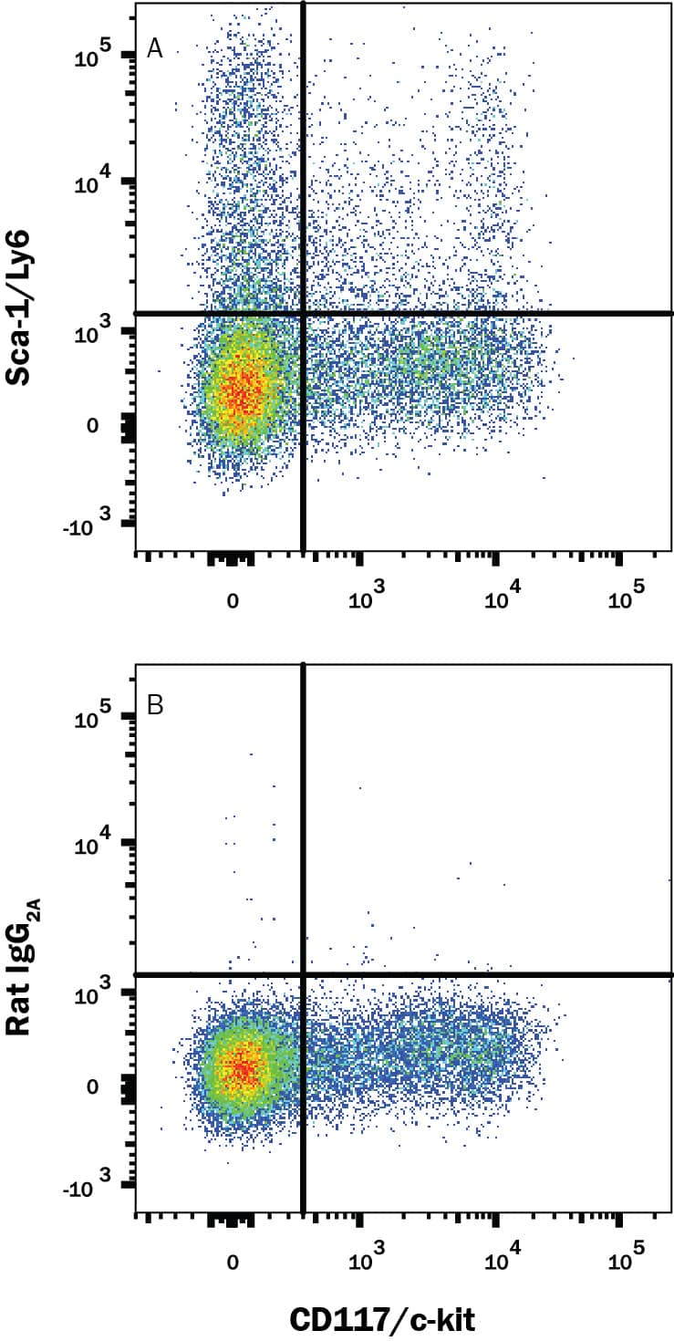 Mouse splenocytes gated on hematopoietic lineage negative cells were stained with Rat Anti-Mouse CD117/c-kit APC-conjugated Monoclonal Antibody (Catalog # FAB1356A) and either (A) Rat Anti-Mouse Sca-1/Ly6 PE-conjugated Monoclonal Antibody (Catalog # FAB1226P) or (B) Rat IgG2APhycoerythrin Isotype Control (Catalog # IC006P). View our protocol for Staining Membrane-associated Proteins.