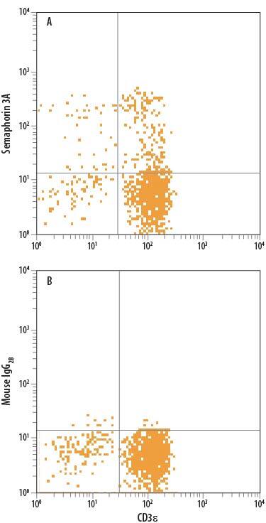 Human peripheral blood mononuclear cells (PBMCs) treated with PHA were stained with Mouse Anti-Human CD3e APC-conjugated Monoclonal Antibody (FAB100A) and either (A) Mouse Anti-Human/Mouse Semaphorin 3A Alexa Fluor® 488-conjugated Monoclonal Antibody (Catalog # IC1250G) or (B) Mouse IgG2BAlexa Fluor 488 Isotype Control (IC0041G). To facilitate intracellular staining, cells were fixed with Flow Cytometry Fixation Buffer (FC004) and permeabilized with Flow Cytometry Permeabilization/Wash Buffer I (FC005). View our protocol for Staining Intracellular Molecules.